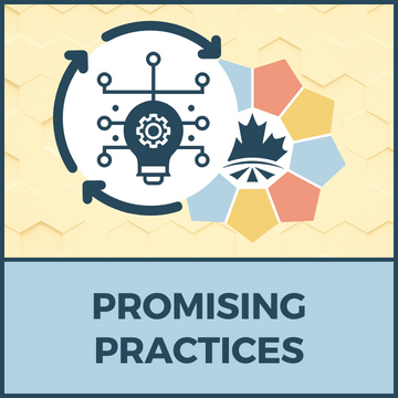 Promising Practices