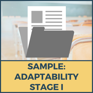 Sample: Adaptability CLB Stage 1